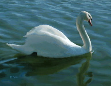 "Swan IV"